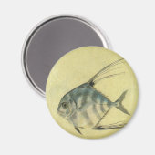 Threadfin Trevally, Afrikaanse Pompano vis Magneet (Voorkant / Achterkant)