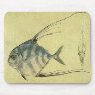 Threadfin Trevally, Afrikaanse Pompano vis Muismat