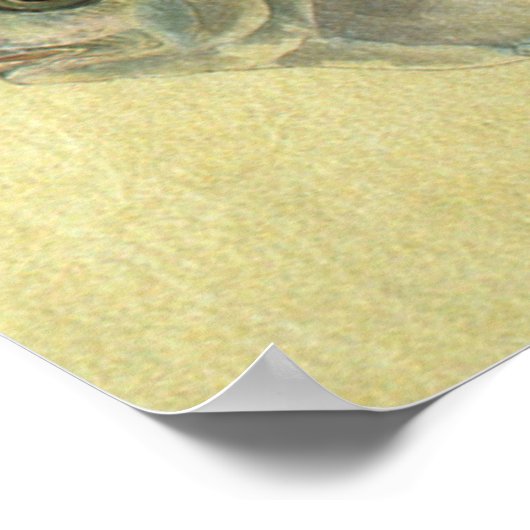  Threadfin Trevally, Afrikaanse Pompano vis Poster (Hoek)