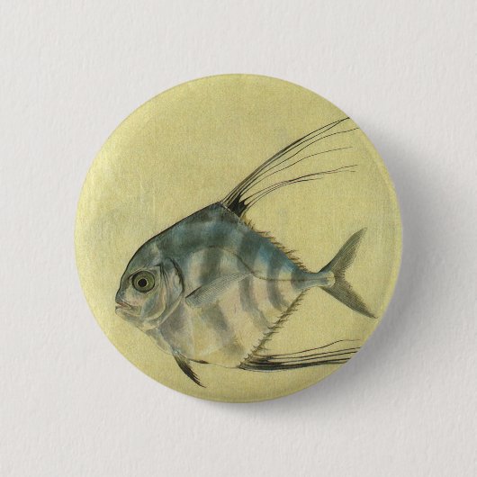 Threadfin Trevally, Afrikaanse Pompano vis Ronde Button 5,7 Cm (Voorkant)