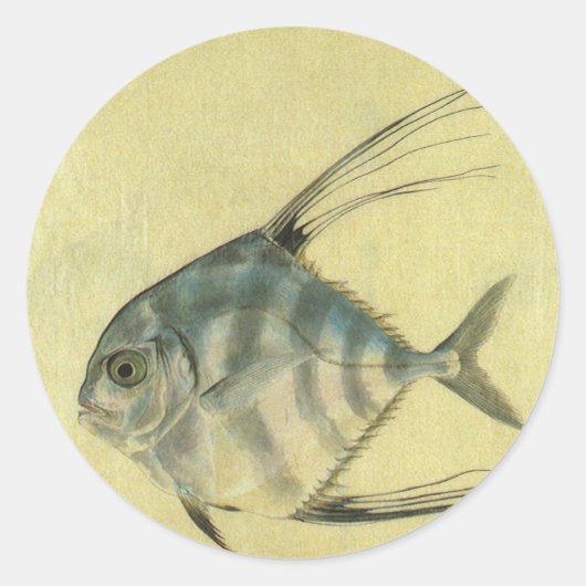 Threadfin Trevally, Afrikaanse Pompano vis Ronde Sticker (Voorkant)