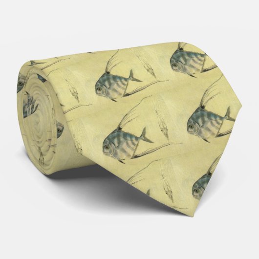  Threadfin Trevally, Afrikaanse Pompano vis Stropdas (Opgerold)