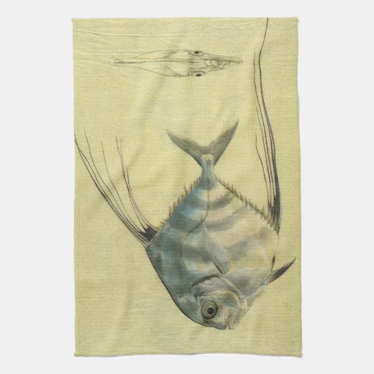  Threadfin Trevally, Afrikaanse Pompano vis Theedoek (Verticaal)