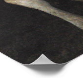 Three Amigos - Bull Cows Staring wild west art Poster (Hoek)