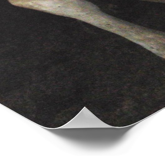 Three Amigos - Bull Cows Staring wild west art Poster (Hoek)