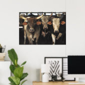 Three Amigos - Bull Cows Staring wild west art Poster (Thuiskantoor)