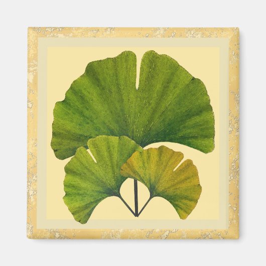 Three Arts and Crafts Ginkgo Leaves Magneet (Voorkant)