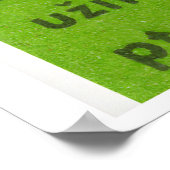 Three Birds in Tree - Matchbox Print - Czech Wall (Hoek)