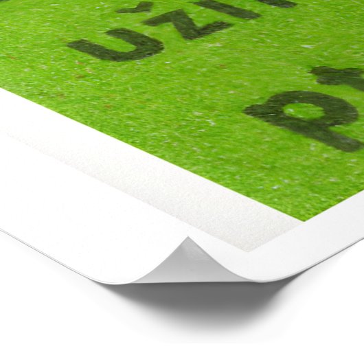 Three Birds in Tree - Matchbox Print - Czech Wall (Hoek)