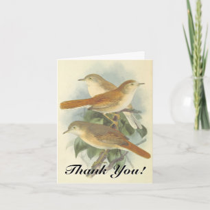 Three Birds on a Branch, "Thank You!" Kaart