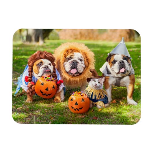 Three Bulldogs in Costumes Magneet (Horizontaal)