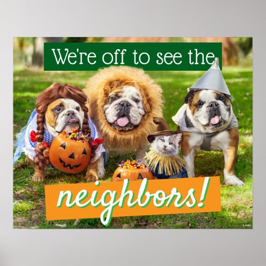 Three Bulldogs in Costumes Poster (Voorkant)