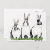 "Three Bunnies" Animal Art Postacard Briefkaart (Voorkant / Achterkant)