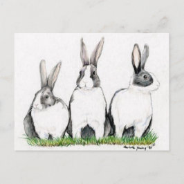 "Three Bunnies" Animal Art Postacard Briefkaart