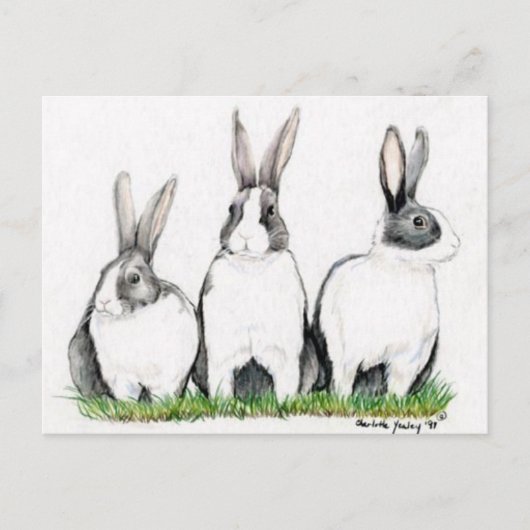 "Three Bunnies" Animal Art Postacard Briefkaart (Voorkant)