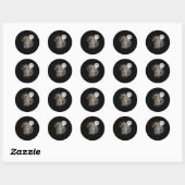 Three Cat Meow Moon Funny Weird Cursed Meme Ronde Sticker (Vel)