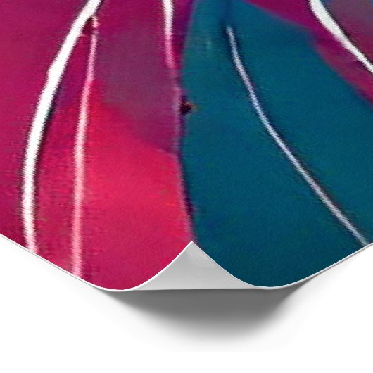 Three Cats Kleurrijk Poster (Hoek)