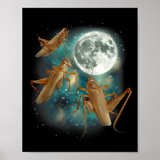 Three Cricket Moon 3 Insect Huilende Meme Magie Vl Poster (Voorkant)