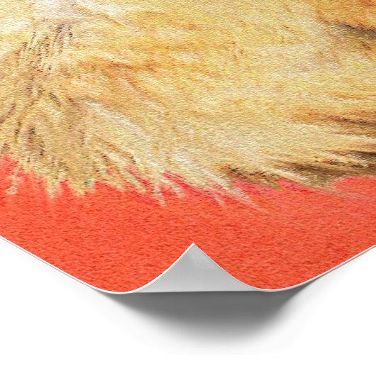 Three Fennec Fox Kits Poster (Hoek)