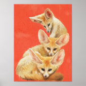 Three Fennec Fox Kits Poster (Voorkant)