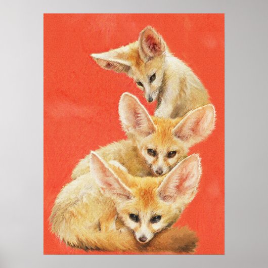 Three Fennec Fox Kits Poster (Voorkant)