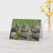 Three Friends Gossiping Kaart (Gele Bloem)