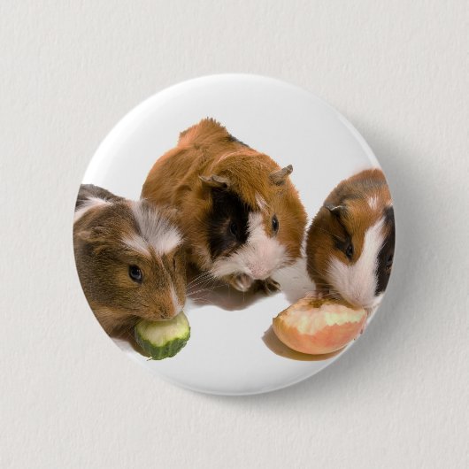 three guinea pigs who eat, ronde button 5,7 cm (Voorkant)