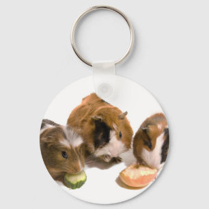 three guinea pigs who eat, sleutelhanger