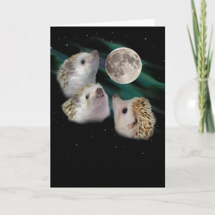 Three Hedgehog Moon Wenskaart Kaart