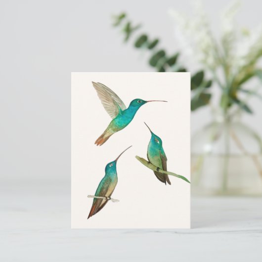 Three Hummingbirds  Briefkaart (Staand voorkant)