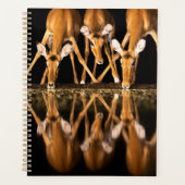 Three Impala Drink Together at Night Planner (Voorkant)