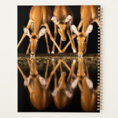 Three Impala Drink Together at Night Planner (Achterkant)