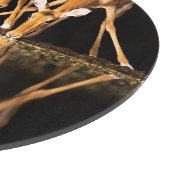 Three Impala Drink Together at Night Snijplank (Hoek)