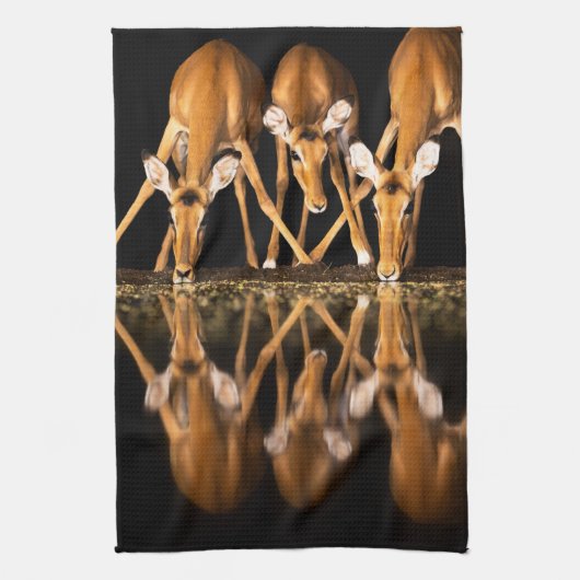 Three Impala Drink Together at Night Theedoek (Verticaal)