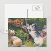 "Three Kittens and a Squirrel"  Briefkaart (Voorkant / Achterkant)