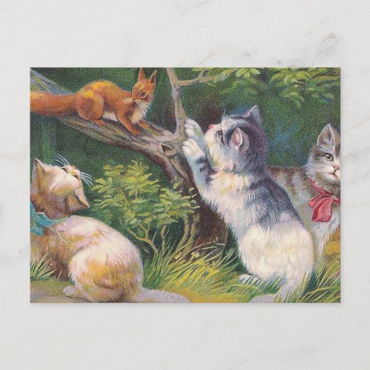 "Three Kittens and a Squirrel"  Briefkaart (Voorkant)