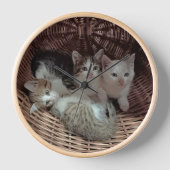 Three Kittens in a Wicker Basket (Voorkant)