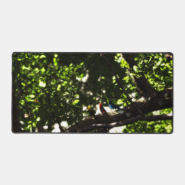 Three Little Birds Bureaumat