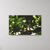 Three Little Birds Canvas Afdruk (Voorkant)