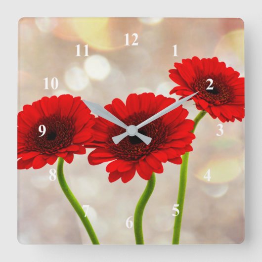 Three Little Red Gerberas Acrylic wall clock Vierkante Klok (Voorkant)