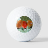 Three orange rosehips golfballen (Voorkant)