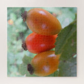 Three orange rosehips legpuzzel (Horizontaal)