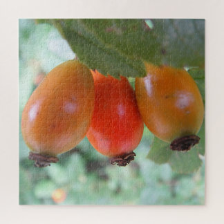 Three orange rosehips legpuzzel