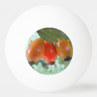 Three orange rosehips pingpongbal