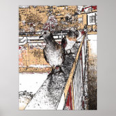 Three Pigeons beroemd gemaakt door Hythe Canal Poster (Voorkant)