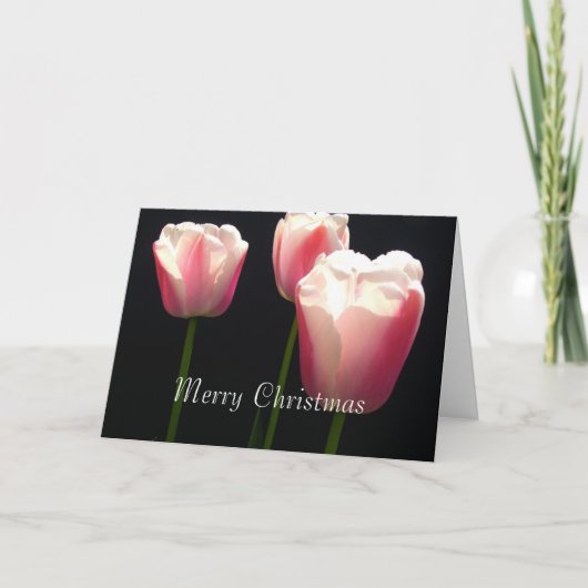 Three pink tulip flowers. Christmas, folidays. Feestdagen Kaart (Voorkant)