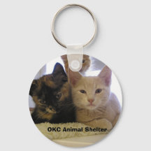 Three Shelter Kittens