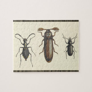 Three Side-By-Side Insects Puzzle Legpuzzel