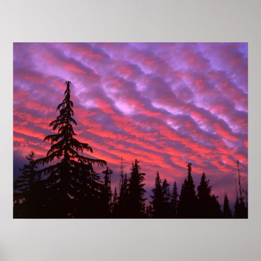 Three Sisters Wilderness, Oregon Poster (Voorkant)