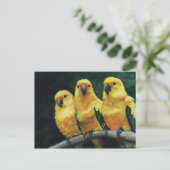 "Three Sun Conures" Bird Art Briefkaart (Staand voorkant)